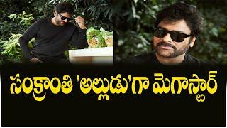 సంక్రాంతి అల్లుడుగా మెగాస్టార్ చిరంజీవి.|Megastar Chiranjeevi as Sankranthi Alludu.|Chiru New Movie|