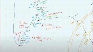 MCAT AAMC FL 2 Review with a 100th percentile scorer.