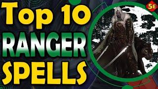 Top 10 Best Ranger Spells in DnD 5E