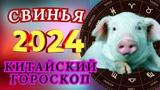 СВИНЬЯ  - ВОСТОЧНЫЙ ГОРОСКОП НА 2024 ГОД ПО ГОДУ РОЖДЕНИЯ | ВИСОКОСНЫЙ ГОД  2024