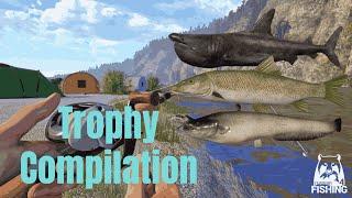 Russian Fishing 4 I Trophy Compilation I ️ Basking shark ️