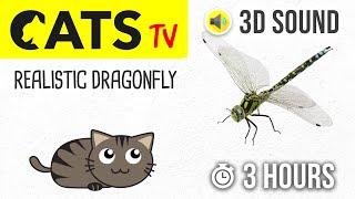 CATS TV - Realistic Dragonfly - 3 HOURS (Entertainment Video for Cats & Dogs to Watch)