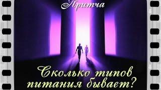 Сколько типов питания бывает? ( лучшие видео притчи о тайнах жизни)