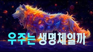 우주는 생명체일까  #우주다큐  #과학다큐 Is the universe also a living organism?