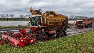 Nothing can stop this Beet Beast! | Extreme wet harvest | Agrifac on tracks | W. Berkers - Deurne