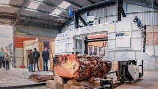 Sawmilling big hardwood logs in Scotland with Wood-Mizer WM1000 Sawmill