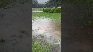 because this year…. When it rains… it floods! #gardening #floridagarden #floridafarm