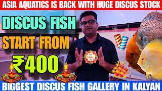 Biggest Discus Fish Gallery In Kalyan | Discus Fish Start From ₹400 | Aqua Aquatics