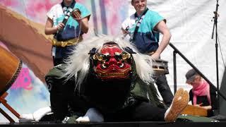 ⁴ᴷ Soh Daiko : Shishimai - Japanese Taiko Drumming at Brooklyn Botanic Garden (April 2018)