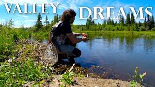 Brook Trout BEAUTIFUL Back Country Creek Fishing