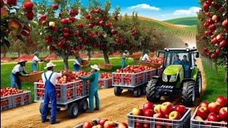 How to Grow Millions of Apple Trees: Seedling Production, Harvesting, and Processing