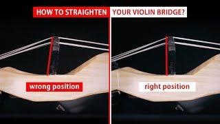 How To Straighten Your Violin Bridge?