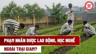 Phạm nhân được lao động, học nghề ngoài trại giam? | THƯ VIỆN PHÁP LUẬT