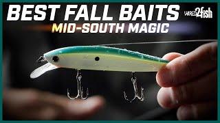 3 Prime Fall Bass Baits for Mid-South Lakes