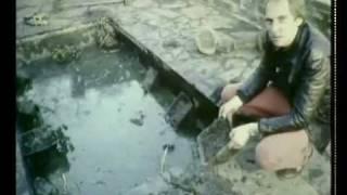 BBC Blue Peter garden smashed up - 1980's