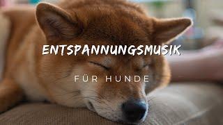 Entspannungsmusik für Hunde - Musik für Hunde zur Beruhigung und zum Einschlafen