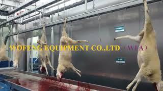 Sheep Production Line Bleeding Convey Rail For Slaughterhouse Equipment By WFA Factory Production