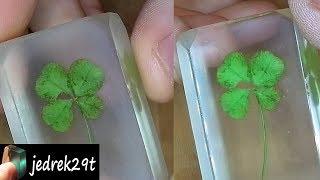 Four-leaf clover in resin. Polishing the resin/ Polerowanie żywicy