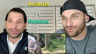 ANIMALS VS HUMANS COMPILATION [REACTION]