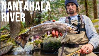 Fly Fishing NC’s BEST Trout Stream | The Nantahala River