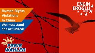 Stop Human Rights Violations in China