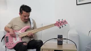 BOSS OC-5 Octave Pedal - Bass Demo // F Bass BN5 - Daniel Sing