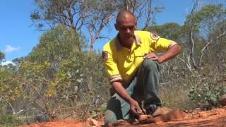 Stone Tools Tumut