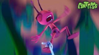 Midnight Manic |  Antiks & Insectibles  | Funny Cartoons for Kids | Moonbug