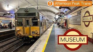 Transport for Sydney Vlog 781: Museum Station - Afternoon Peak Trains