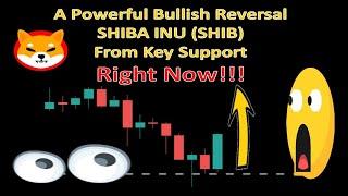 A Powerful Bullish Reversal SHIBA INU (SHIB) From Key Support Right Now!!!