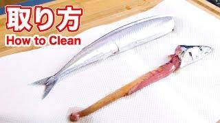 How to Clean/Gut a Fish in Japan & How to Get Fish Smell off Your Hands【English Subtitled】