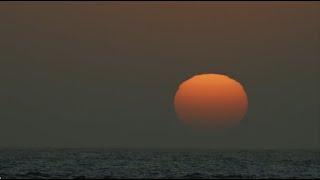 WILD NAMIBIA E13 -  NAMIBIA'S MARINE HERITAGE: A Journey Through the Benguela Current Ecosystem