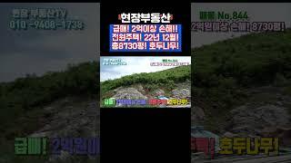 시골 집 급매 신축급 8730평  #sorts #전원주택 #급매 #호두나무 #시골집 #단양부동산