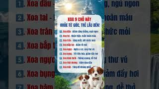 Xoa 9 chỗ này khoẻ từ gốc trẻ lâu bền/Đặng Kim Toàn