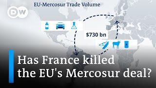 Is the disagreement over the EU-Mercosur deal playing into China's hands? | DW News