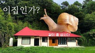 [시골한토막] 시골집의 새식구! 달팽이가 귀촌을? / 리틀포레스트 같은 5도2촌 시골살이 브이로그 / korea countryside life 4K