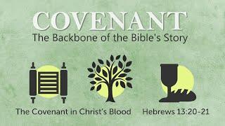 Pastor Paul, The Covenant in Christ's Blood, Hebrews 13:20-21