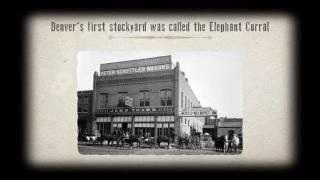 I Am Angus: Denver's Historic Elephant Corrral