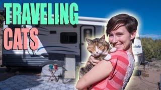 RVing With Cats - How To Keep Kitty Happy While Traveling - RV Life