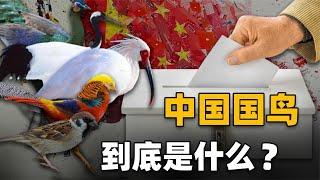 中国的国鸟到底是什么？丹顶鹤没能当上国鸟，原因竟和日本有关？