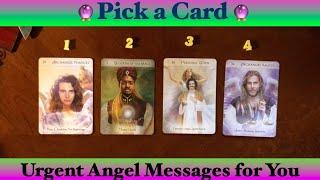 Urgent Angel Message for You  Pick a Card  Timeless ⏰