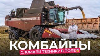 Молотят всё! Сравниваем немецкий комбайн CLAAS и белорусский «Гомсельмаш» в поле.