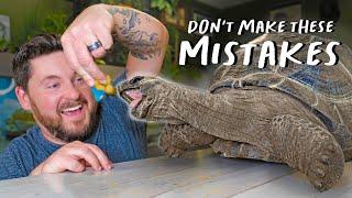 BEST PET TORTOISE CARE TIPS! I (Top 5 MISTAKES)