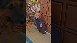 baby beat German shepherd #life #instagood #reels #happy #shorts #baby #beautiful #viral #funny #