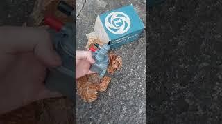 Emergency Fuel Pump Replacement On The Allegro ! - Pre Enfield Checks !