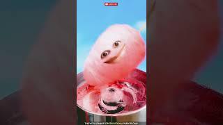 Don't eat cotton candy #experiment #amazingfacts #science #crazyxyz #knowledge #science #animation