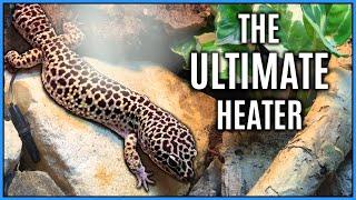 Ceramic Heater & Heat Mat Vs. Heat Lamp - The Best Pet Reptile Heater Explained