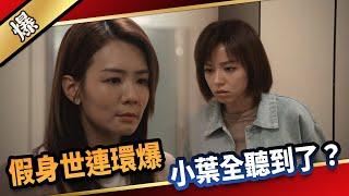 《八點檔搶先爆》愛的榮耀 EP252 假身世連環爆 小葉全聽到了？