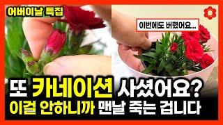 [어버이날 필수시청]ㅣ이런 카네이션 절대 사면 안되는 이유, 돈 아끼는 방법ㅣ이렇게 생긴 카네이션 화분은 제발 사지 마세요 (feat. 카네이션 관리방법, 꽃말, 꽃색깔, 선물팁)