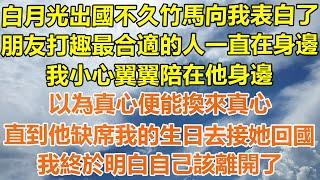 （完結爽文）白月光出國不久竹馬向我表白了，朋友打趣最合適的人一直在身邊，我小心翼翼陪在他身邊，以為真心便能換來真心，直到他缺席我的生日去接她回國，我終於明白自己該離開了！#幸福#出軌#家產#白月光